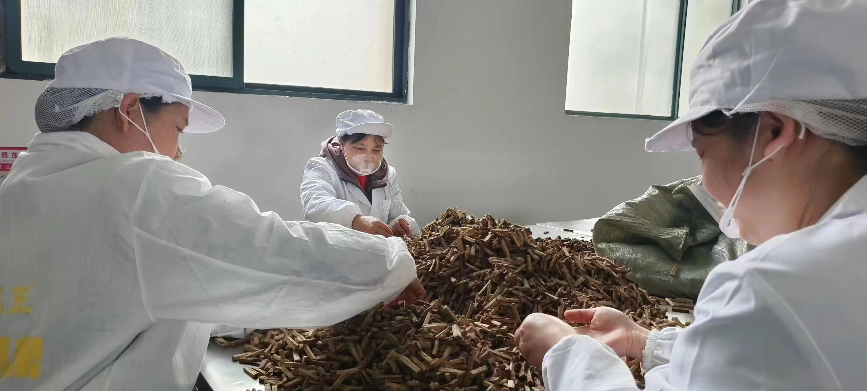 葛根公司,生產葛根,葛根基地,葛根條廠家,葛根項目