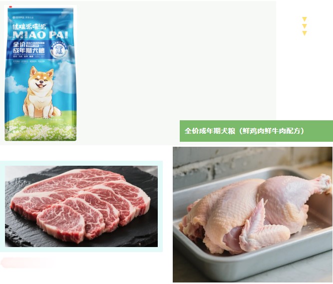 派得寵物